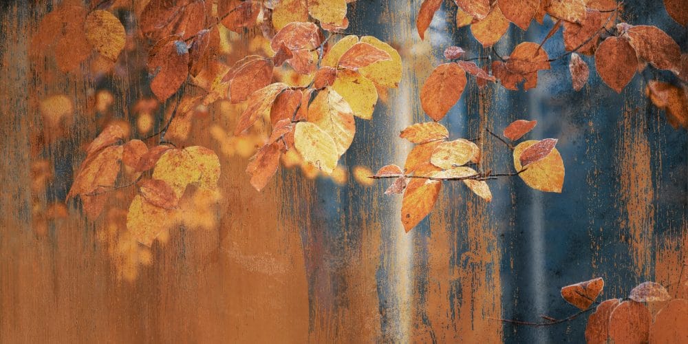 Rusted leaves art